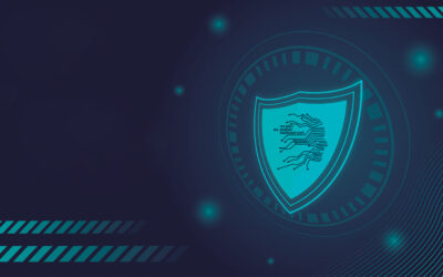 ”Sajber heroj” program